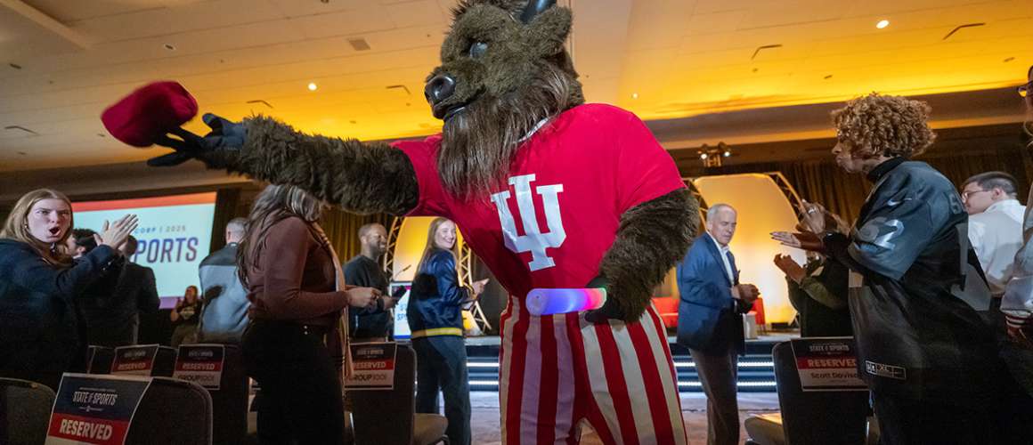 State of Sports Mascot
