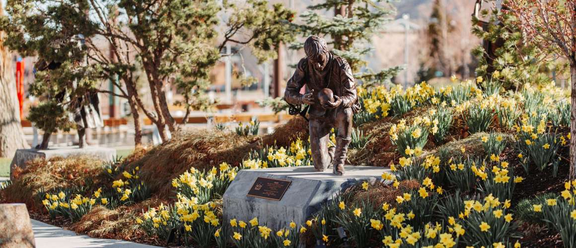 Daffodils in the Shakespeare Garden at the Beverley