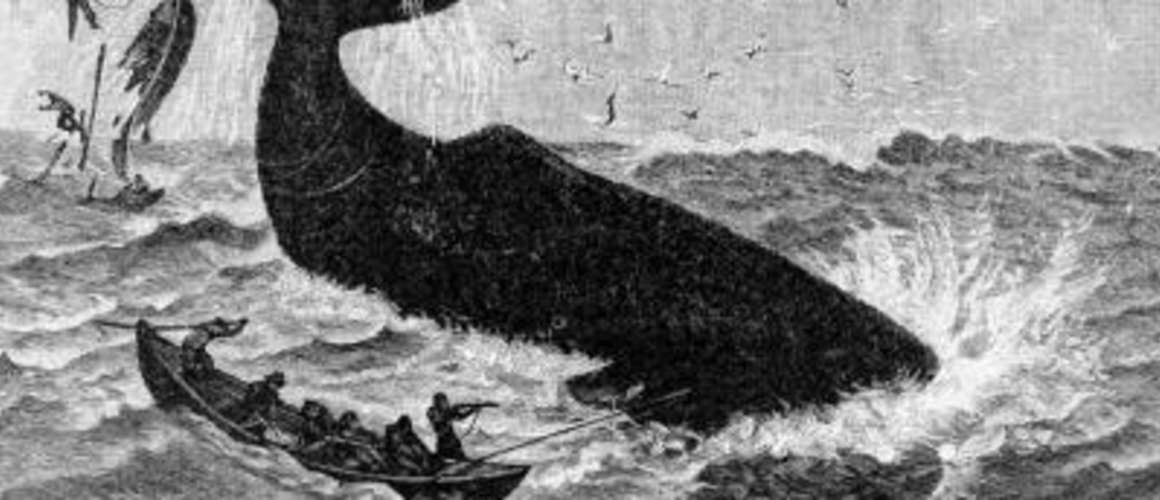 Early whaling