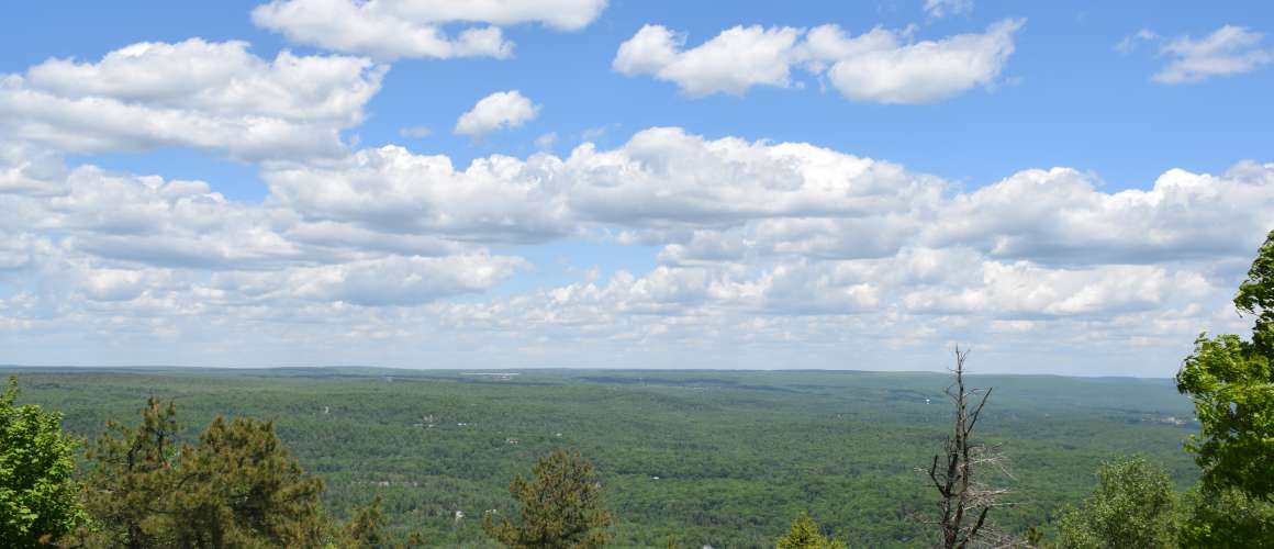 Blue Skies for Miles