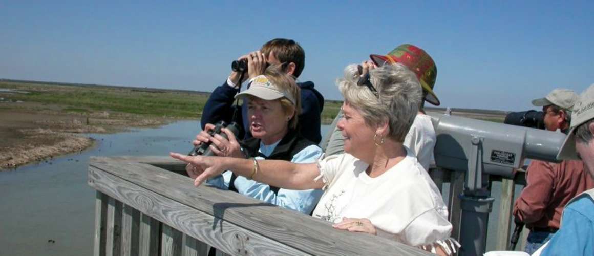 Birding at Leona Turnbull