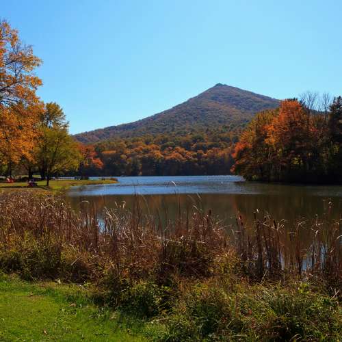 Bedford Lake View