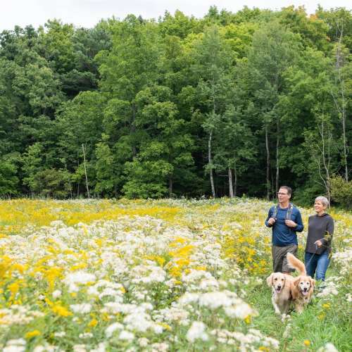 Wesley Hill Nature Preserve