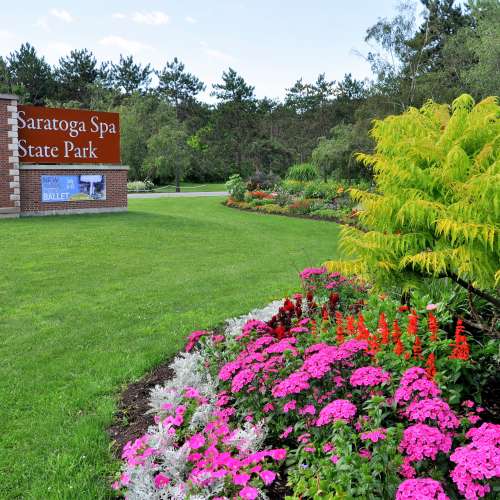 Shot of Saratoga Spa State Park signage to the left and purple, white and red flowers close up to the right
