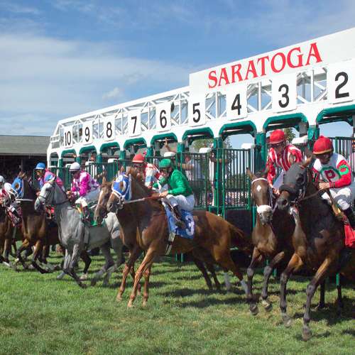 Horses being released from the starting gate