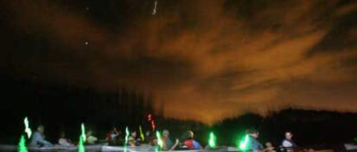 Bioluminescence Florida Calendar 2022 Bioluminescent Kayaking In Florida: Nature's Wondrous Light Show