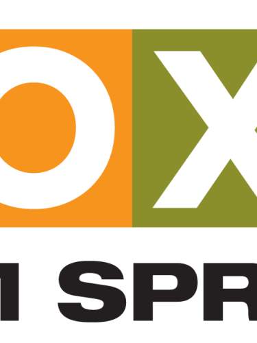 XOXO logo no copy