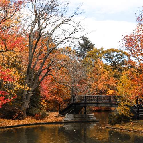 Roger Williams Park Fall Foliage