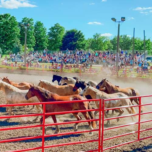Kendall County Fair