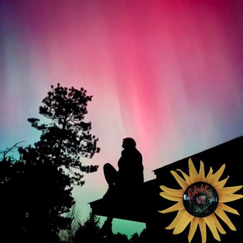 Redbud Park Live at Southbank!