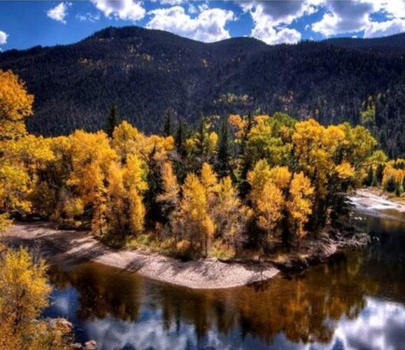 Fall Foliage