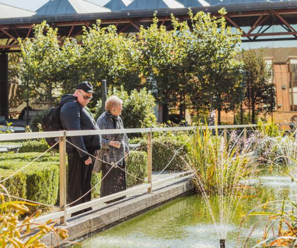 Two people stand on an footbridge in museums quarter gardens, looking over a pond with fountains and vibrant greenery. T