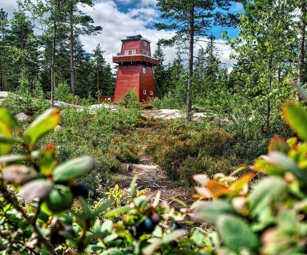 Haukenestårnet