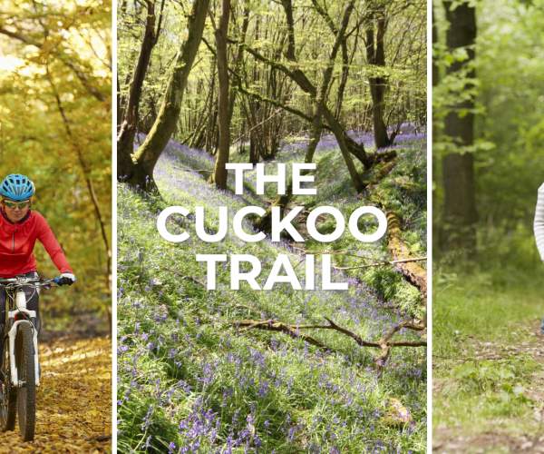 Explore the Cuckoo Trail