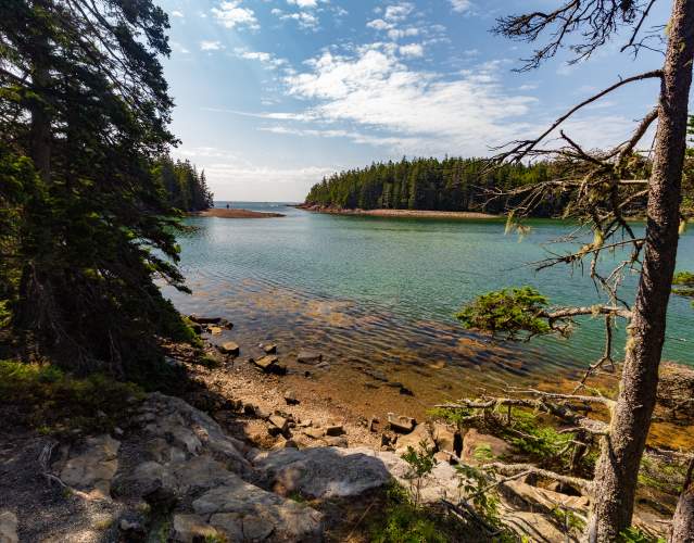 Puffin Tours- Maine Tourism Association