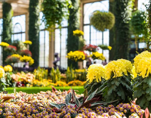 Longwood Conservatory Fall