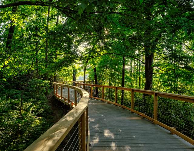 Longwood Meadow Path