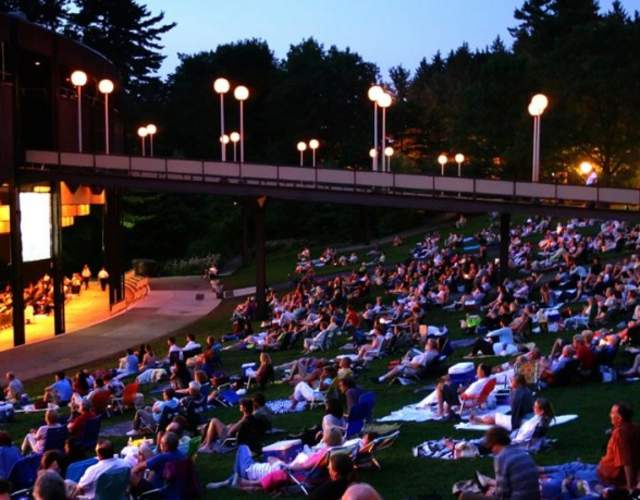 people enjoying a concert at spac while sitting on the lawn