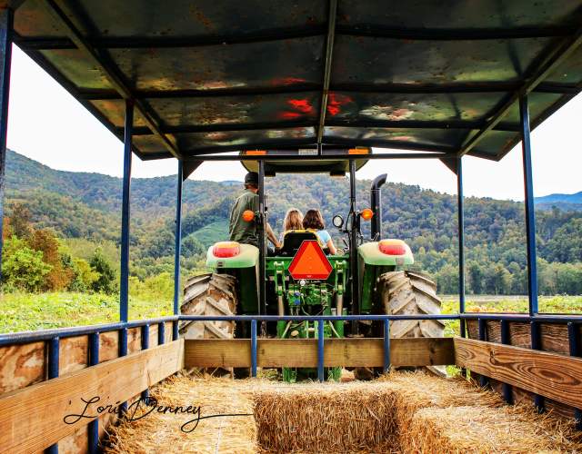 Darnell Farms Hayride
