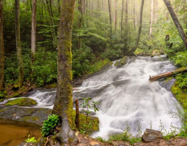 Chasteen Creek