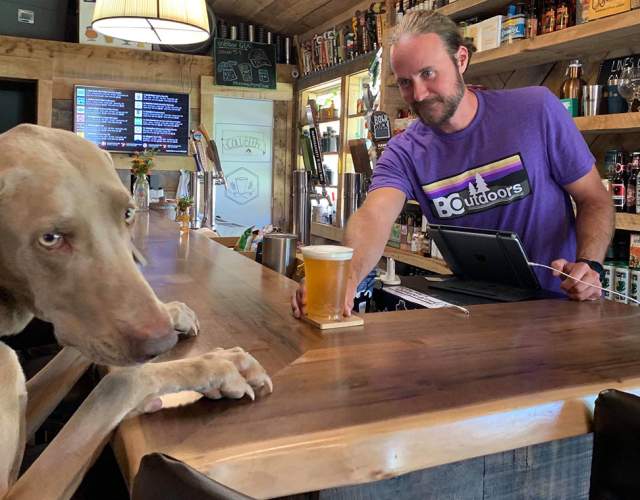 Pet Friendly