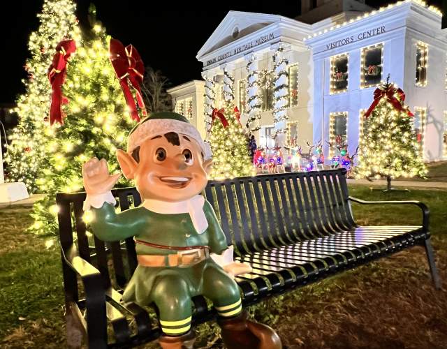 Pose with A Christmas Elf