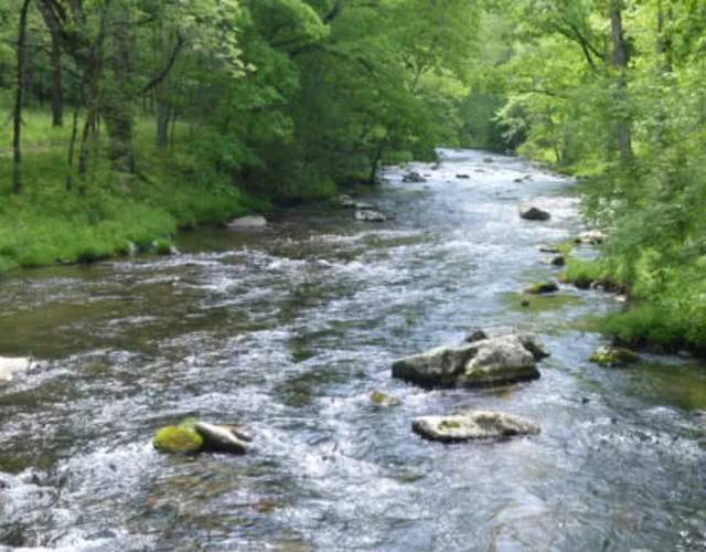 Hazel Creek