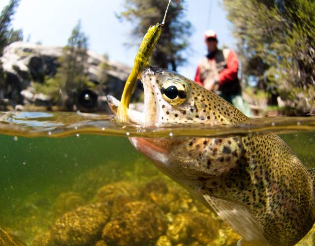 Fly Fishing Capital of the South