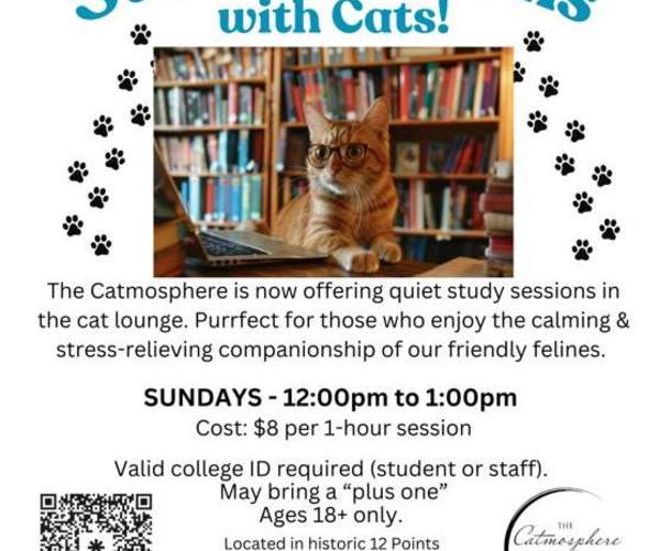 College Study Sessions with Cats!