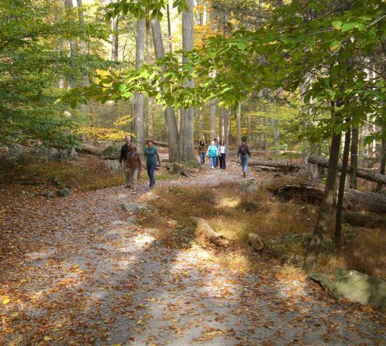 Hikers in Cunningham Falls State Park in the fall