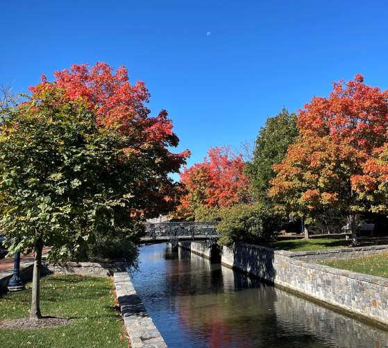 Trees Displaying Fall Foliage By A Bridge Over Carroll Creek In Frederick County, MD