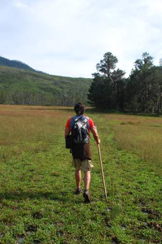 Hiking