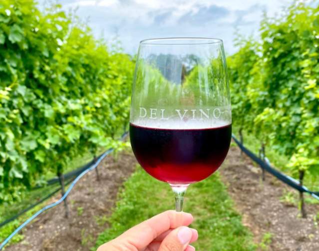 Delvino winery hotsell