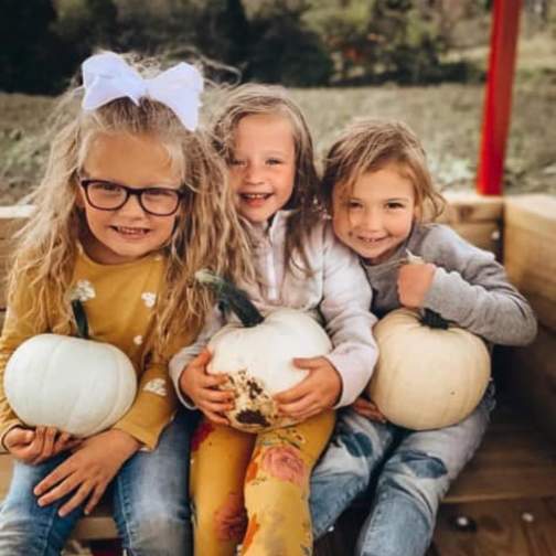Corn Maze & Pumpkin Patch