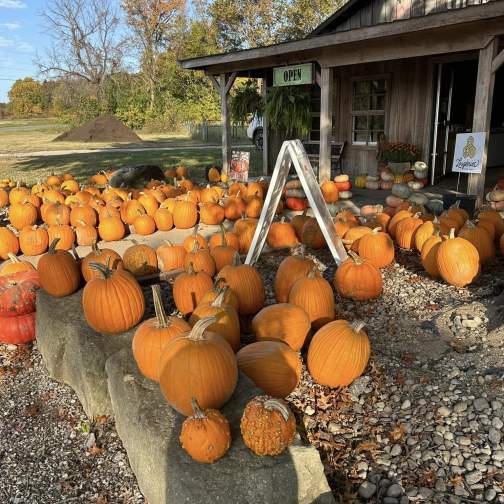 Fall Family Fun Festivities