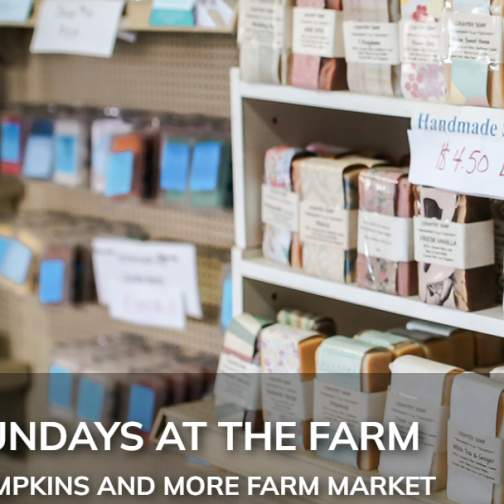 Sundays at the Farm