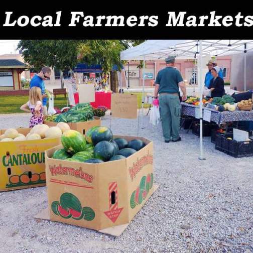 Jasper Farmer's Market