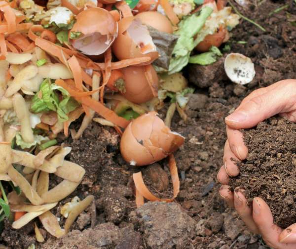 Composting