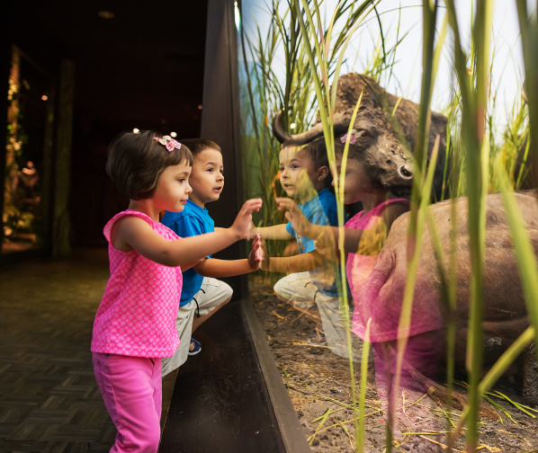 Milwaukee Museum Days Scavenger Hunt