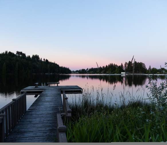 A quiet wooden dock leads out over a still lake at dusk, with soft pink and blue tones in the sky.