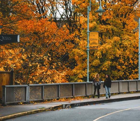 Two people walking along a bridge lined with bright autumn trees.