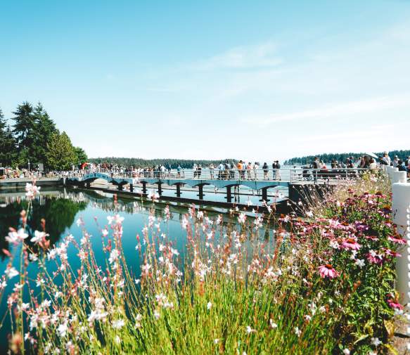 Summer day with flowers