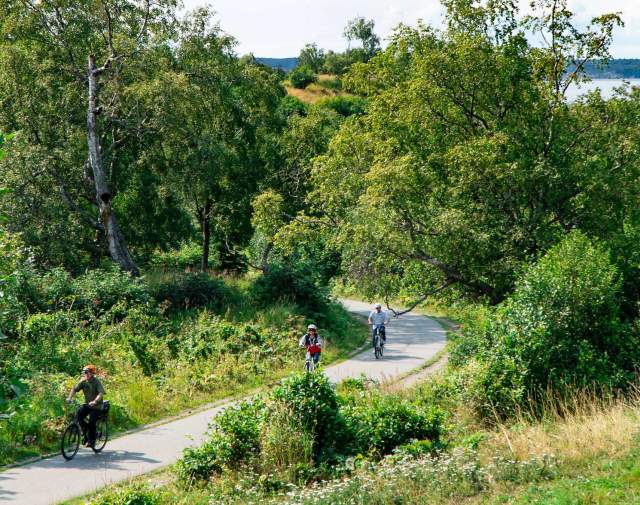 People walking and biking along the Coastal Trail in Kincaid Park