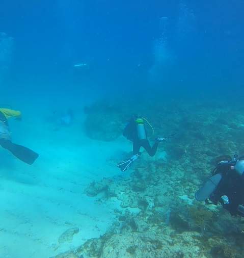 Group of 3 divers on the ocean floor in Panama City Beach