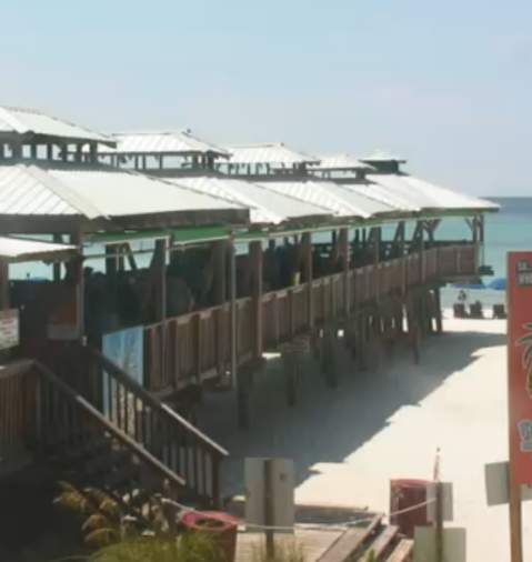 pineapple willy's live webcam panama city beach florida