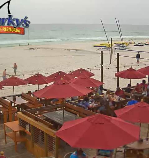 sharky's beachfront restaurant live webcam panama city beach florida