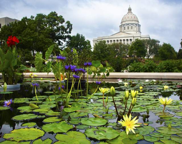 Capitol Dome, Carnahan Memorial Gardens