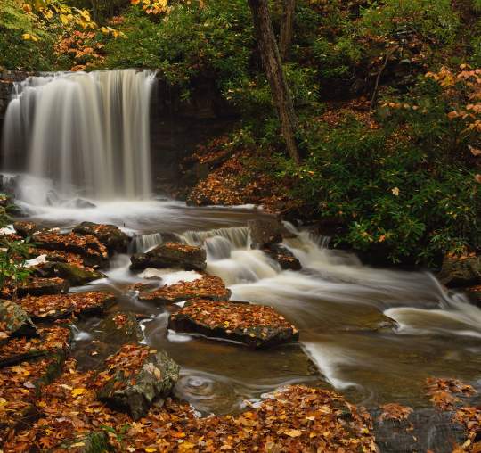 Charlotte Pletcher, Cole Run Falls, Somerset County