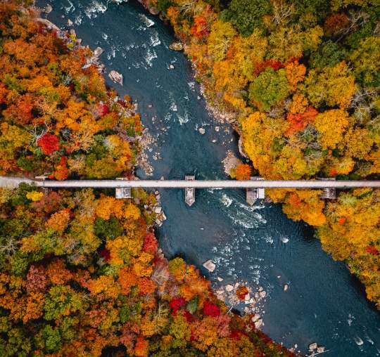 Fall Favs: 8 amazing foliage spots in the Laurel Highlands