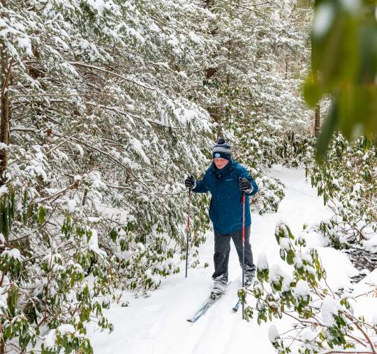 VIDEO: Want to Try Cross Country Skiing? Here's What You Need to Know